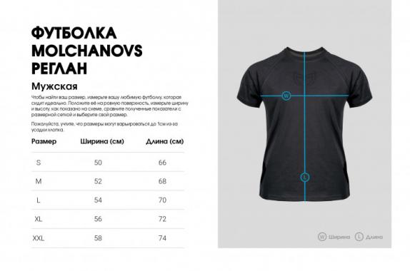 Мужская Футболка Molchanovs Icon чёрная